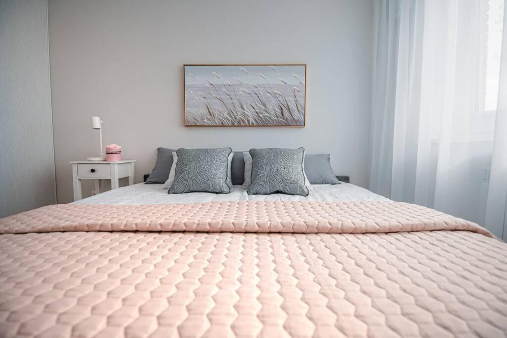 New Luxury 3Br Apartment In Old Town, Free Parking Haapsalu Buitenkant foto