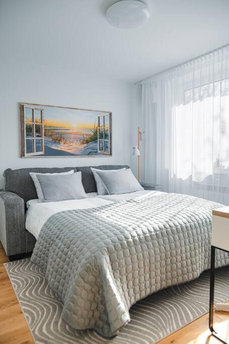 New Luxury 3Br Apartment In Old Town, Free Parking Haapsalu Buitenkant foto